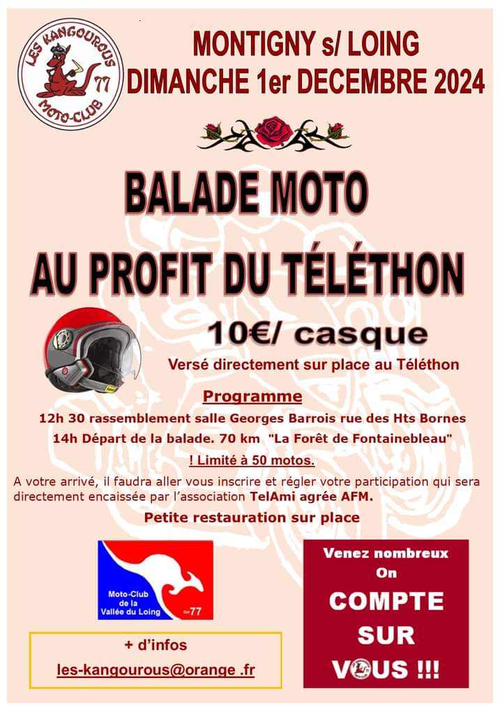 BALADE AU PROFIT DU TÉLÉTHON - Montigny-sur-Loing 77690