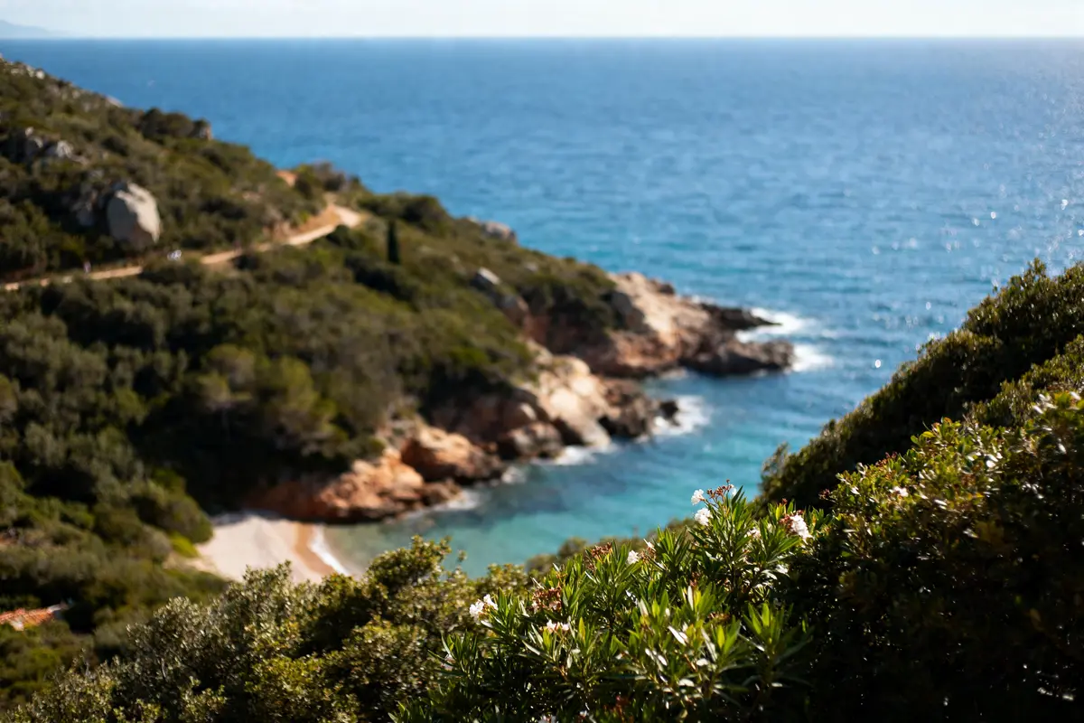 Ajaccio Porto Vecchio : trajet, horaires et coûts à comparer